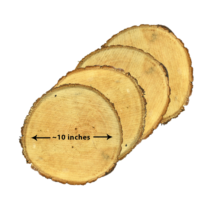 Basswood Decorative Tree Discs – Mayde.us