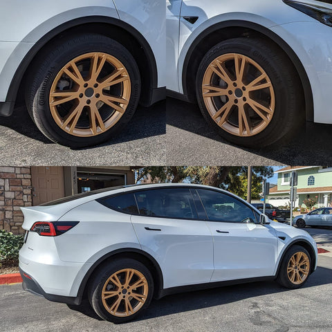 Model y shop with gemini wheels