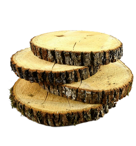 Basswood Decorative Tree Discs