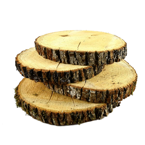 Basswood Decorative Tree Discs – Mayde.us